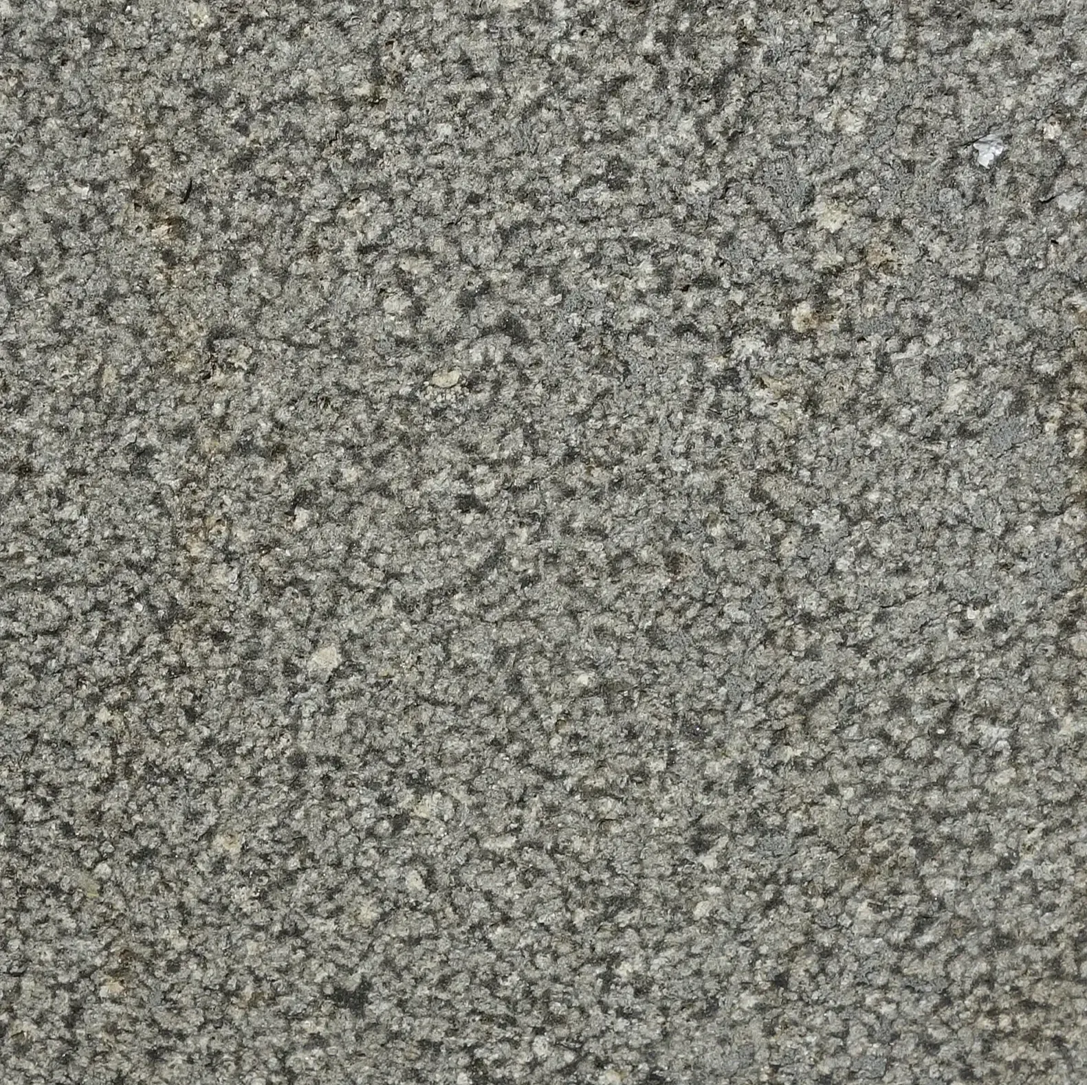 Bush Hammered Basalt Paving