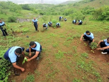 Team tree plantation and reforestation activity as part of sustainability initiative by Indian Natural Stones
