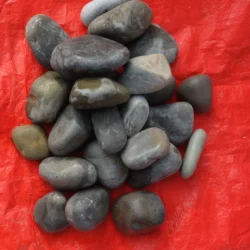 Cement Grey Limestone Pebbles by Indian Natural Stones for modern outdoor spaces