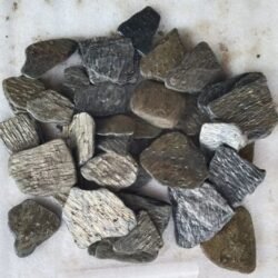 D Green Flat Pebbles by Indian Natural Stones for decorative landscaping solutions