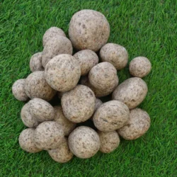 Decorative Pink Granite pebbles from Indian Natural Stones for pathways and landscaping projects