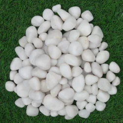 Decorative White Marble Polished Pebbles by Indian Natural Stones for water features and pathways