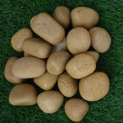 Yellow Marble Pebbles from Indian Natural Stones for garden and interior décor
