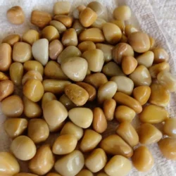 Smooth Yellow River Natural Pebbles by Indian Natural Stones for decorative landscaping solutions