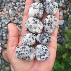 Black Dotted Unpolished Pebbles