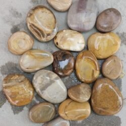 Golden Flat Unpolished Pebbles by Indian Natural Stones for water features and pathways
