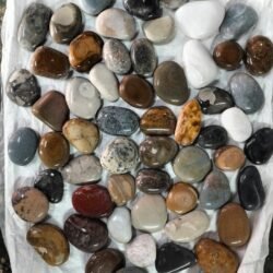 Indian Natural Stones Multicolor polished Pebbles for modern garden and décor applications